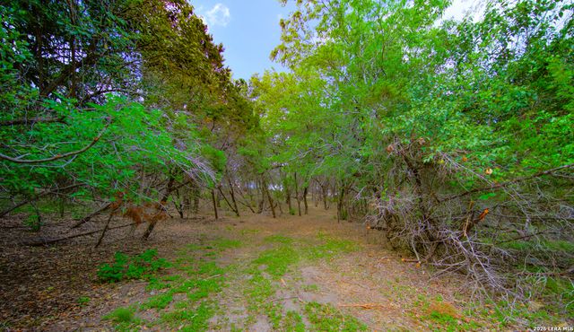 105 Walnut Grove Rd, Boerne, TX 78006