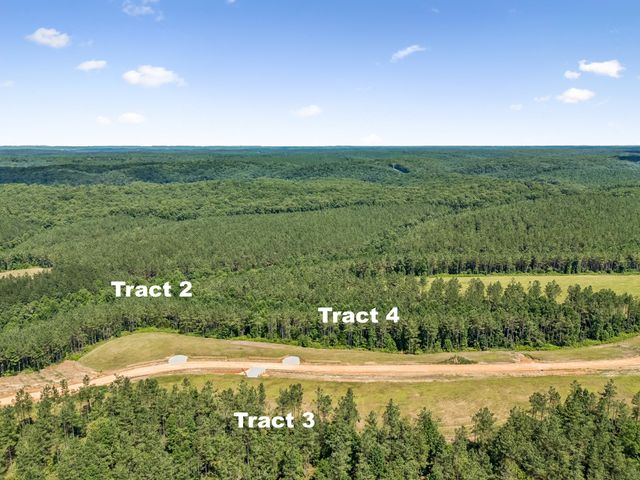 1420 Big Swan Creek Rd Tract 2, Summertown, TN 38483