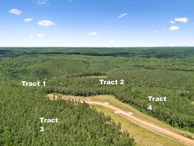 1420 Big Swan Creek Rd Tract 2, Summertown, TN 38483