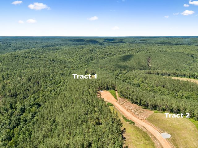 1420 Big Swan Creek Rd Tract 2, Summertown, TN 38483