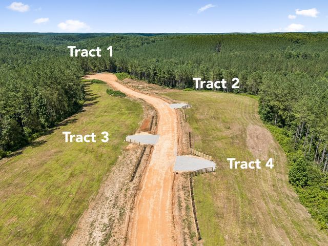 1420 Big Swan Creek Rd Tract 2, Summertown, TN 38483