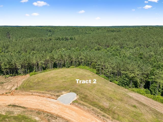1420 Big Swan Creek Rd Tract 2, Summertown, TN 38483