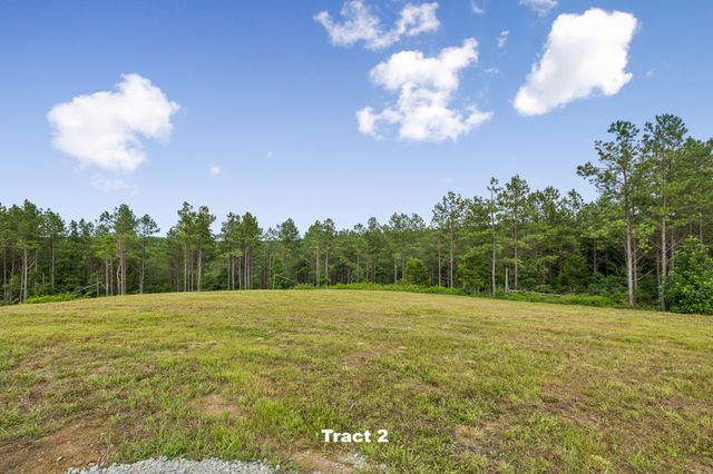 1420 Big Swan Creek Rd Tract 2, Summertown, TN 38483