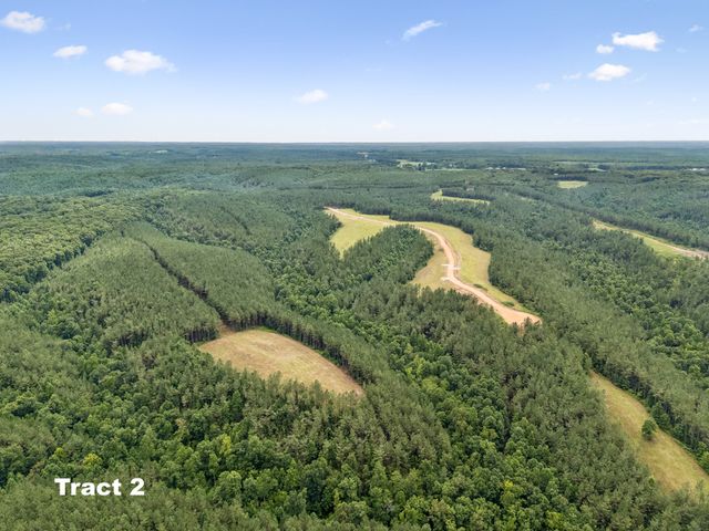 1420 Big Swan Creek Rd Tract 2, Summertown, TN 38483
