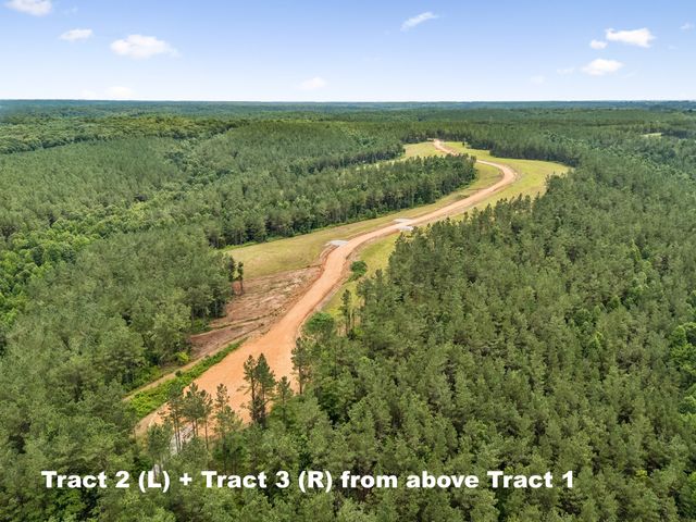 1420 Big Swan Creek Rd Tract 2, Summertown, TN 38483
