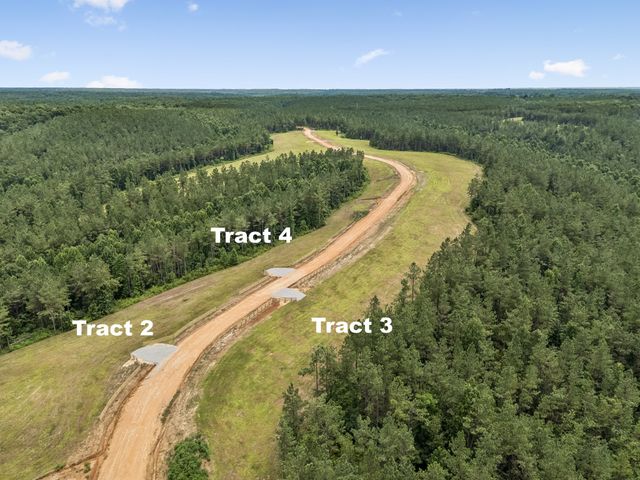 1420 Big Swan Creek Rd Tract 2, Summertown, TN 38483