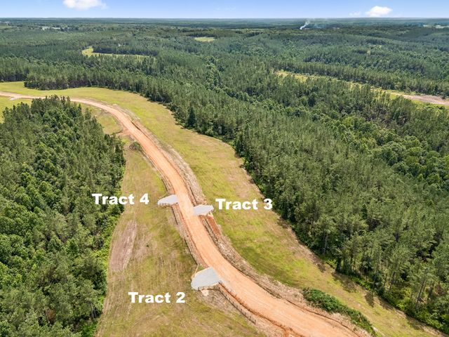 1420 Big Swan Creek Rd Tract 2, Summertown, TN 38483
