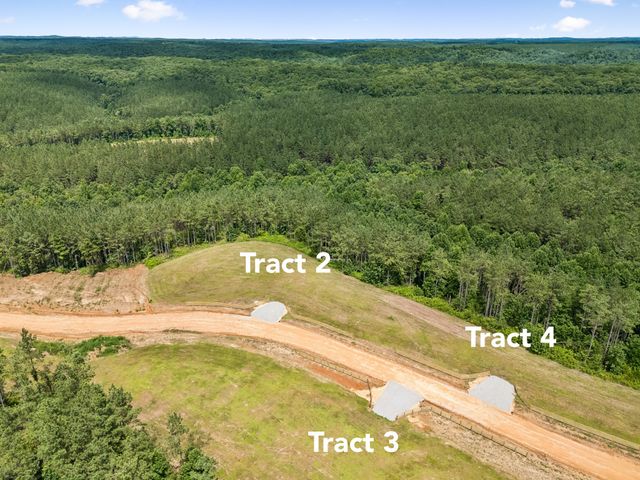 1420 Big Swan Creek Rd Tract 2, Summertown, TN 38483