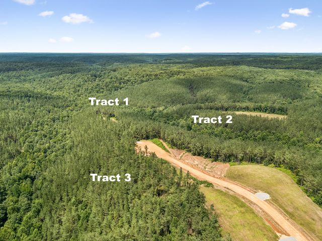 1420 Big Swan Creek Rd Tract 2, Summertown, TN 38483