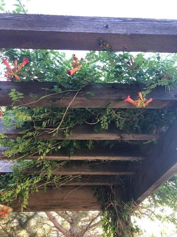 7 PEBBLE BEACH Court, Amarillo, TX 79124