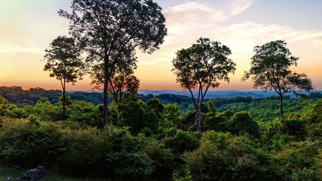 6556 Fairview Road, Hixson, TN 37343
