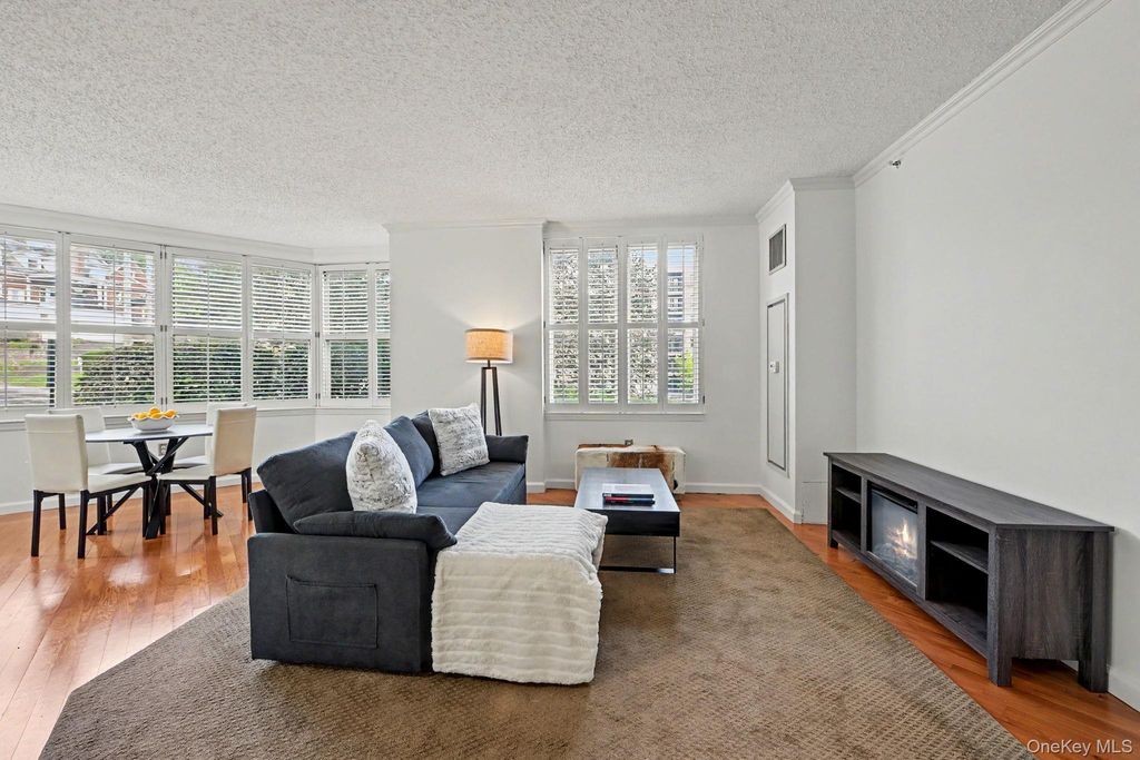 300 Mamaroneck Avenue 303, White Plains, NY 10605 — photo 4