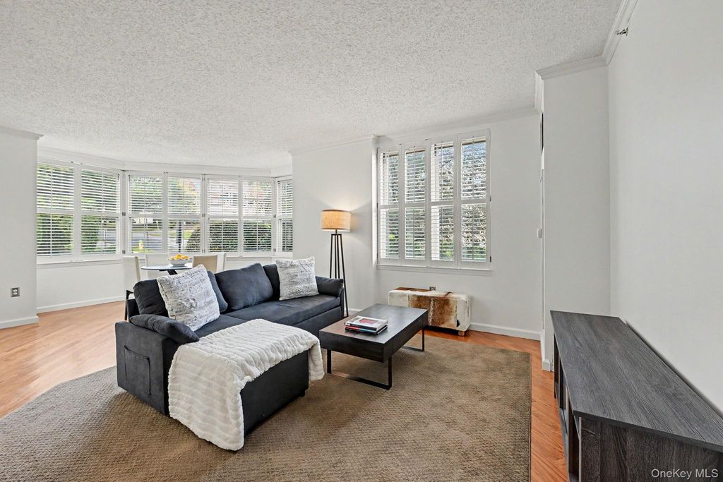 300 Mamaroneck Avenue 303, White Plains, NY 10605 — photo 5