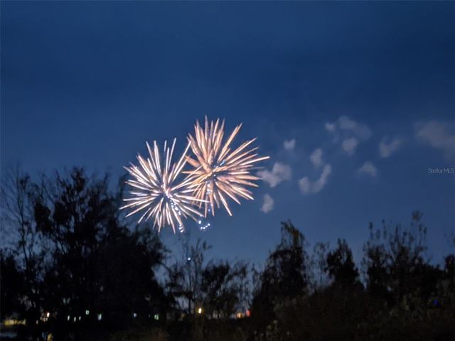 14239 AVENUE OF THE GROVES, Winter Garden, FL 34787