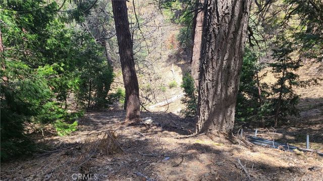 29186 Arrowhead Drive, Cedar Glen, CA 92321