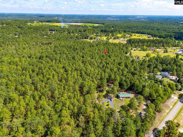 2249 Pepper Road, Gilbert, SC 29073