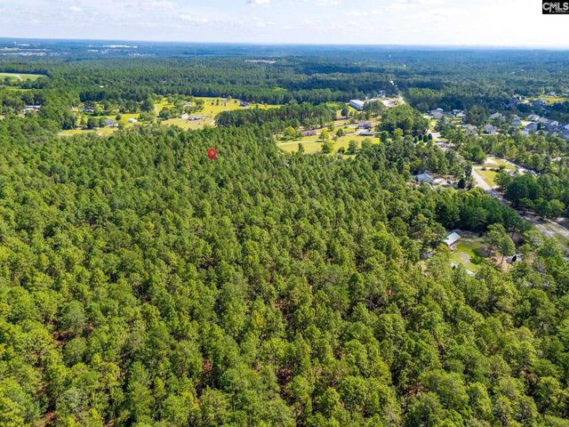 2249 Pepper Road, Gilbert, SC 29073