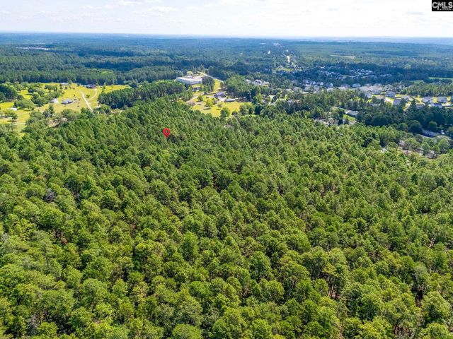 2249 Pepper Road, Gilbert, SC 29073