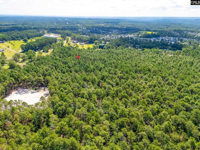 2249 Pepper Road, Gilbert, SC 29073