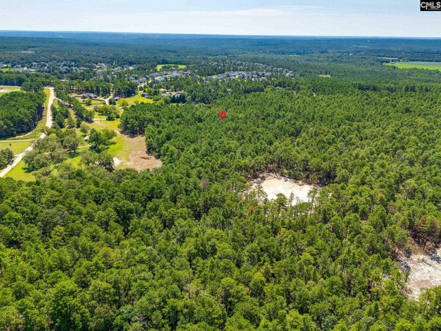 2249 Pepper Road, Gilbert, SC 29073