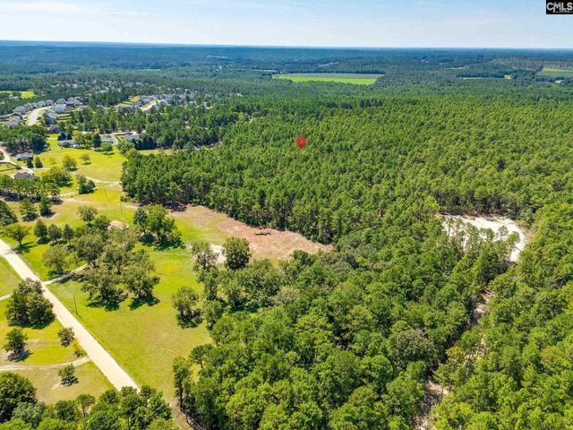 2249 Pepper Road, Gilbert, SC 29073