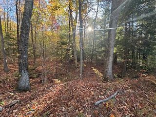 00 Old Walpole Road, Surry, NH 03431