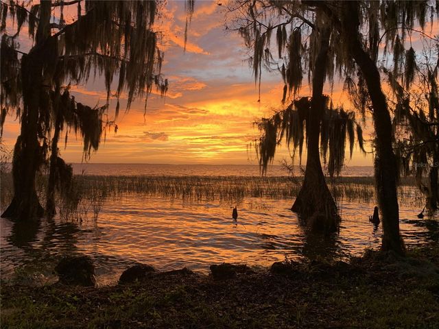 30215 REDTREE DRIVE, Leesburg, FL 34748