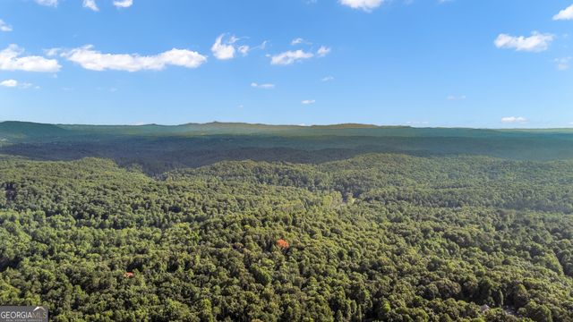 165 Timberwalk Drive, Ellijay, GA 30540