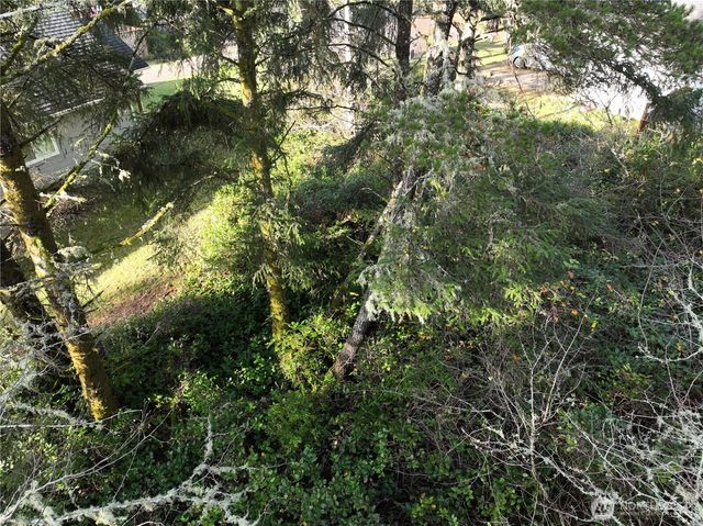 723 Brant Court SE, Ocean Shores, WA 98569