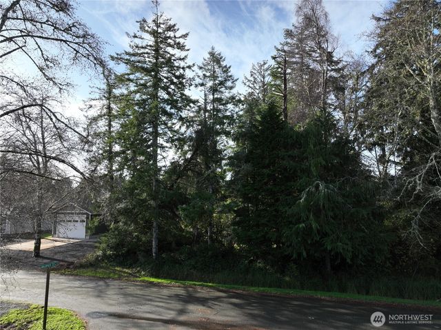 723 Brant Court SE, Ocean Shores, WA 98569