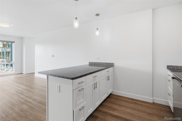 166 Oak St. Street 304, Wyandotte, MI 48192
