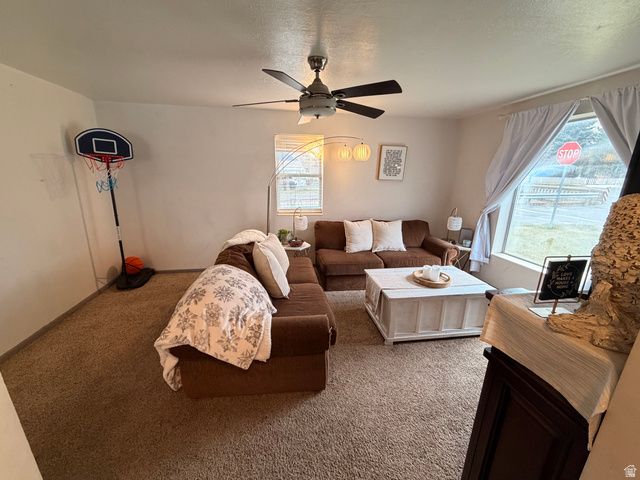 110 S 200 E, Springville, UT 84663