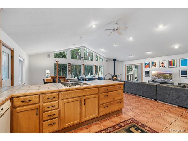 154 Lakeside Dr, Fairplay, CO 80440