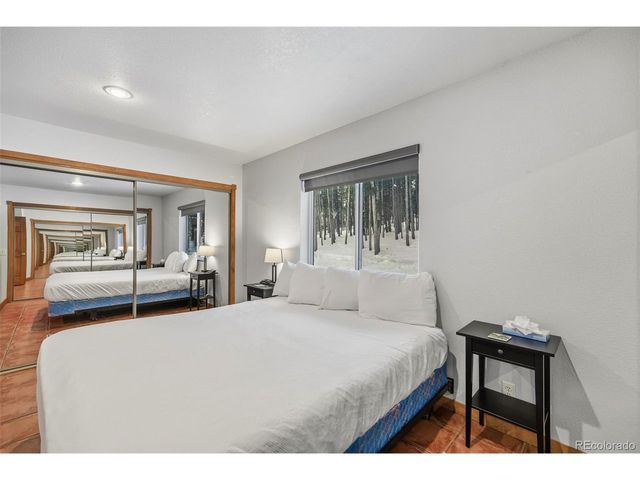 154 Lakeside Dr, Fairplay, CO 80440