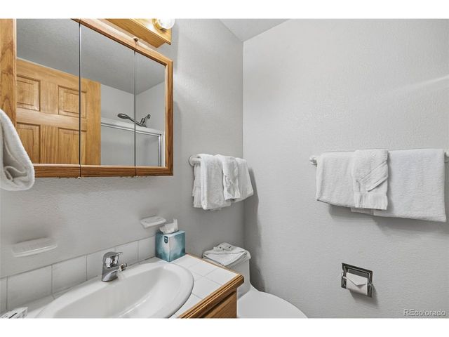 154 Lakeside Dr, Fairplay, CO 80440