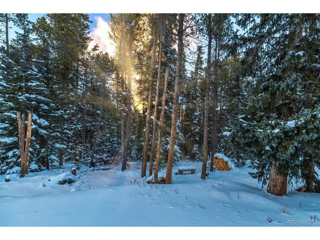 154 Lakeside Dr, Fairplay, CO 80440