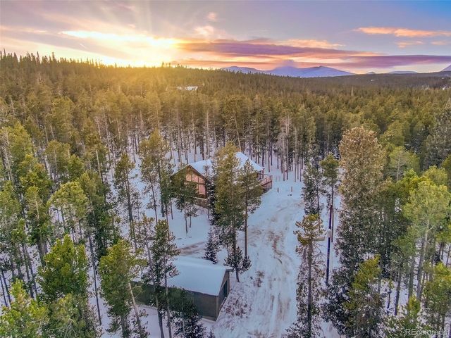 154 Lakeside Dr, Fairplay, CO 80440