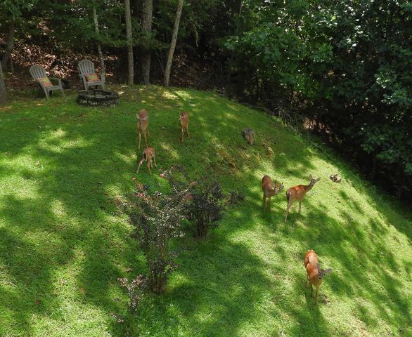 380 Bear Trail, Murphy, NC 28906