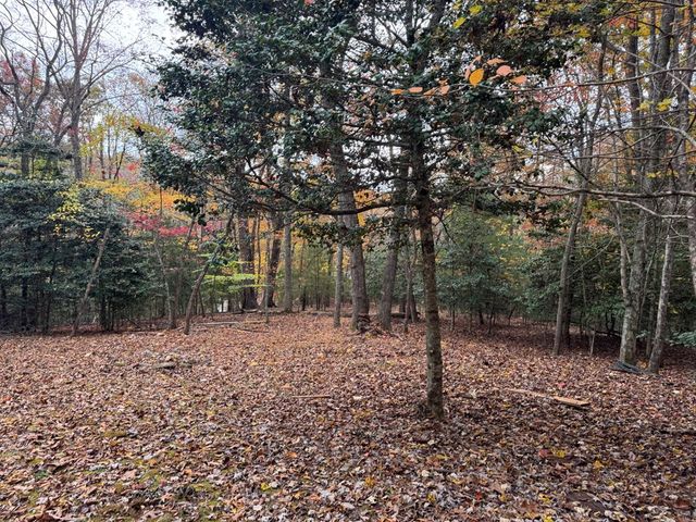 648 Stuart Mountain Road, Mineral Bluff, GA 30559