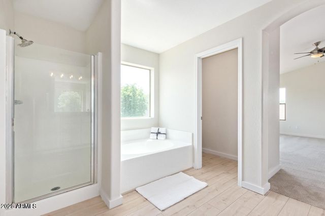 45585 W DIRK Street, Maricopa, AZ 85139