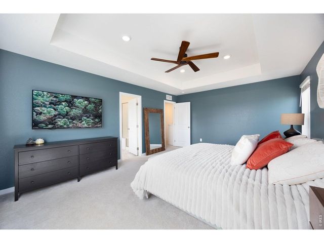 2468 Cabin Creek Ave, Loveland, CO 80538