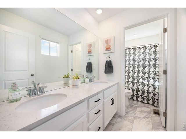 2468 Cabin Creek Ave, Loveland, CO 80538