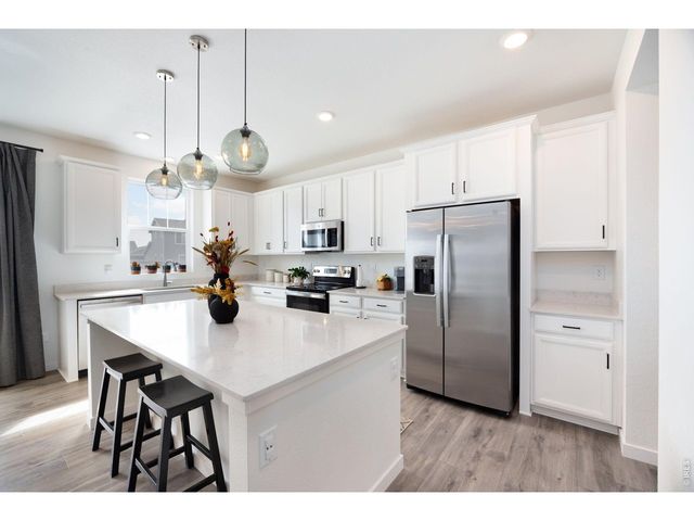 2468 Cabin Creek Ave, Loveland, CO 80538