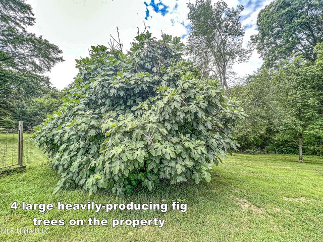14912 Ms 35, Batesville, MS 38606