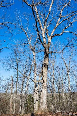 29061 State Highway Y, Jonesburg, MO 63351