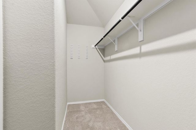 2637 Shady Cedar Court, Conroe, TX 77301