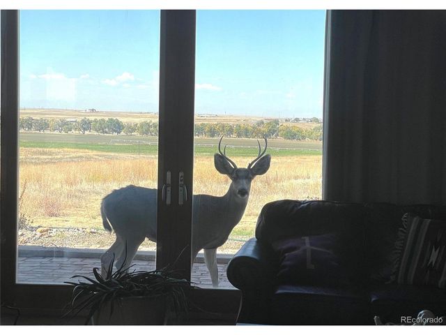 5549 Yulle Rd, Bennett, CO 80102