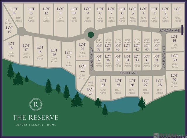 27117 Sonoma Ave, Zachary, LA 70791