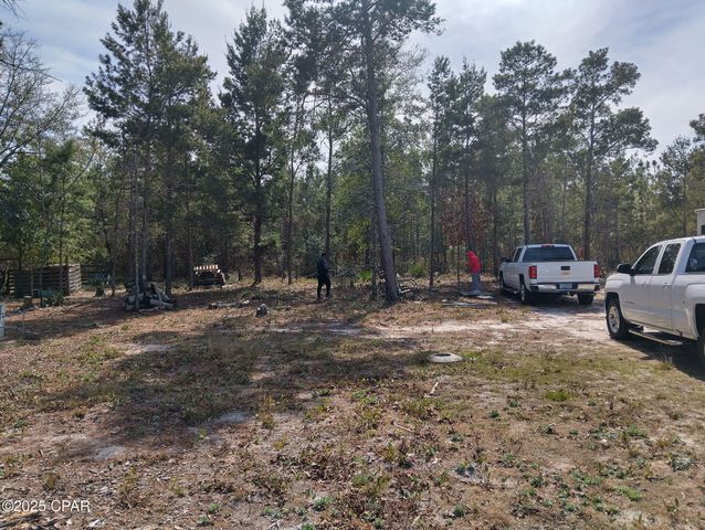 6939 NW PORTER GRADE RD. Road, Altha, FL 32421