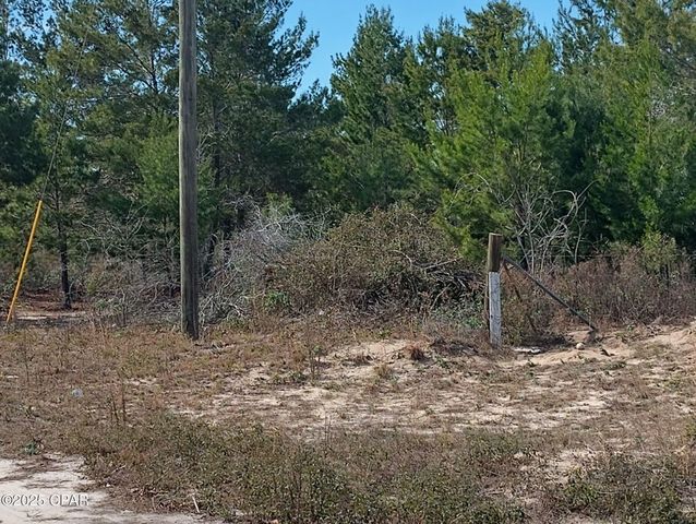 6939 NW PORTER GRADE RD. Road, Altha, FL 32421